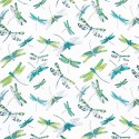 Dragonfly F6630 01