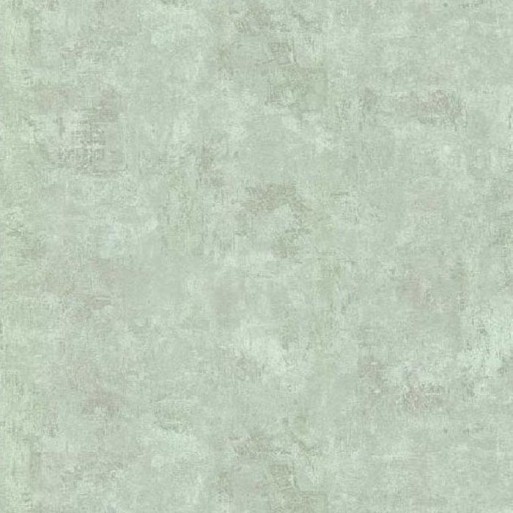 51137009