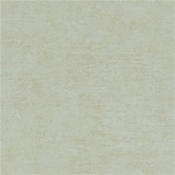 Cerato Celadon
