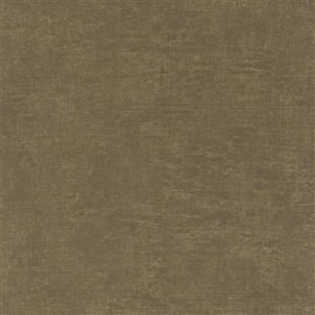 Cerato Driftwood