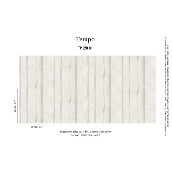 Salsa TP 250 01