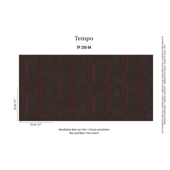 Salsa TP 250 04