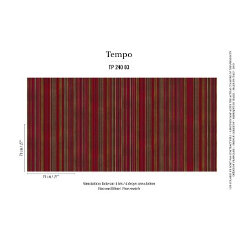 Cucaracha TP 240 03