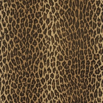 Aragon - Ocelot