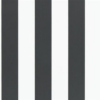 Spalding Stripe - Black/White