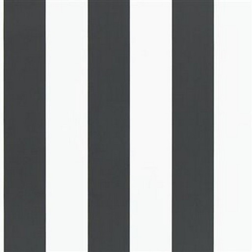 Spalding Stripe - Black/White