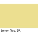 Lemon Tree (69)