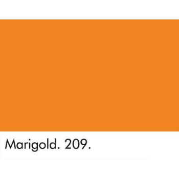 Marigold (209)