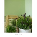 Pea Green (91)