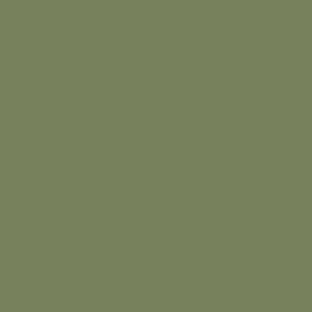 Sage Green (80)