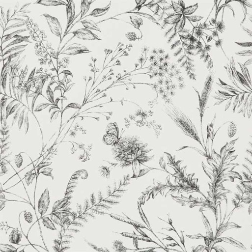 Fern Toile Etched Black