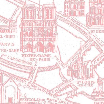 Panoramique Plan de Paris monumental rose