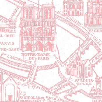 Panoramique Plan de Paris monumental rose