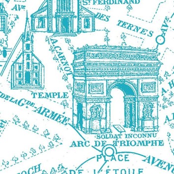 Lé unique Plan de Paris monumental bleu
