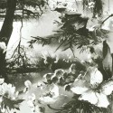Papier peint Brume Ecru / Noir Jean-Paul Gaultier