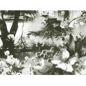 Papier peint Brume Ecru / Noir Jean-Paul Gaultier