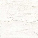 Papier peint troublante transparence
