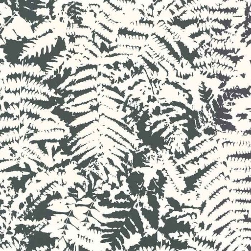 Papier peint fern off black