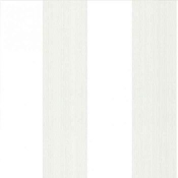 Papier peint Elephant Stripe slip