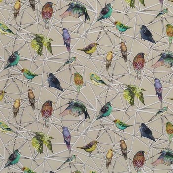 Tissu Aviary Multicouleur