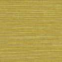 Papiers Peints Marsh 31502