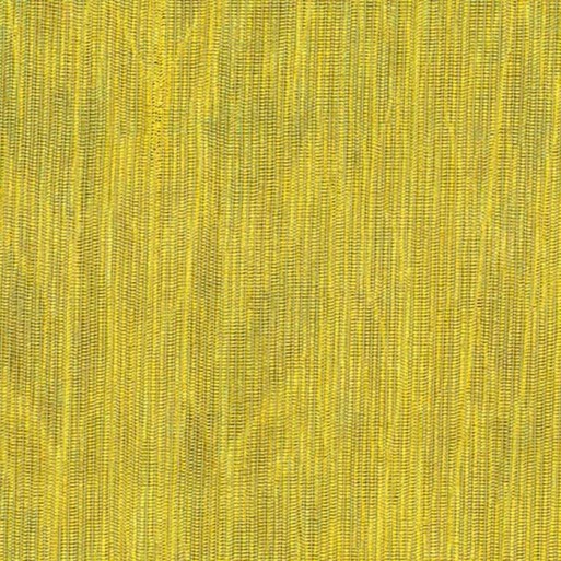 Papier Peint Fierce 23505