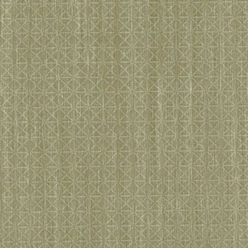Papier Peint Magnus 25002