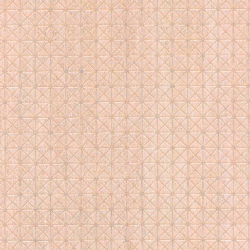 Papier Peint Magnus 25009