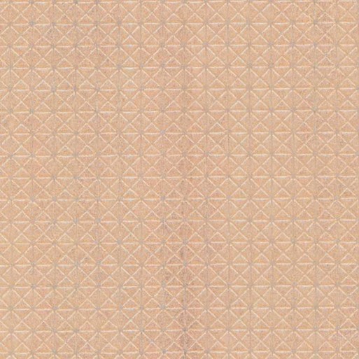 Papier Peint Magnus 25010