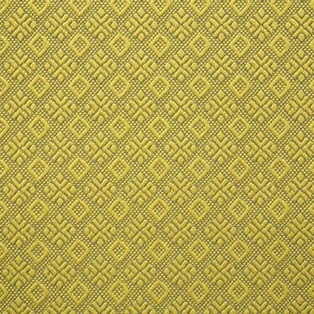 Tissu Colibri Citron