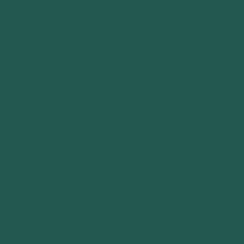 Peinture Mid Azure Green (96)