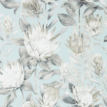 King Protea Aqua / Linen