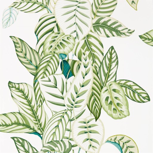 Calathea Botanical Green