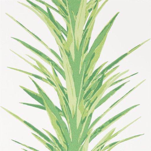 Yucca Botanical Green