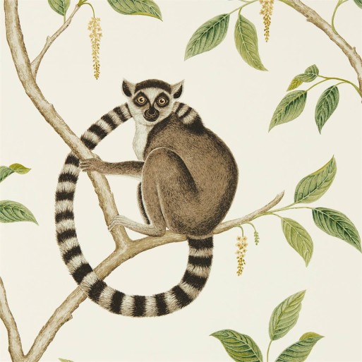 Ringtailed Lemur Cream / Olive