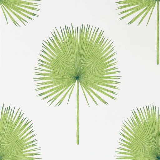 Fan Palm Botanical Green