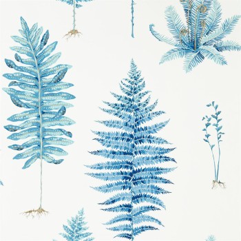 Fernery China Blue