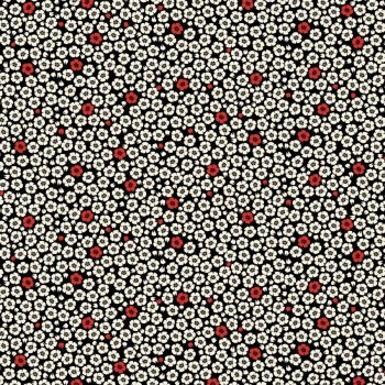 Coquelicot Noir