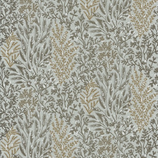 Isoete Gris Bleuté 74350222