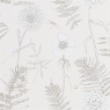 Acanthus PDG1022/05