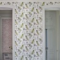 Acanthus