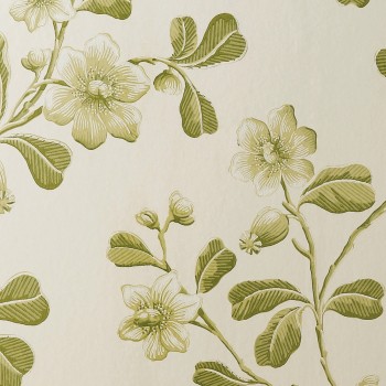 Papier Peint Broadwick Street de Little Greene | Laurine Déco