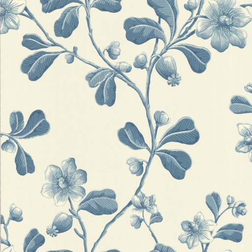 Broadwick Street Balsam