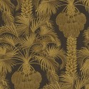 Hollywood Palm 113/1001