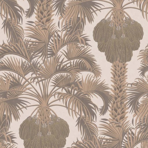 Hollywood Palm 113/1002