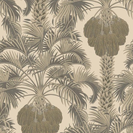 Hollywood Palm 113/1003