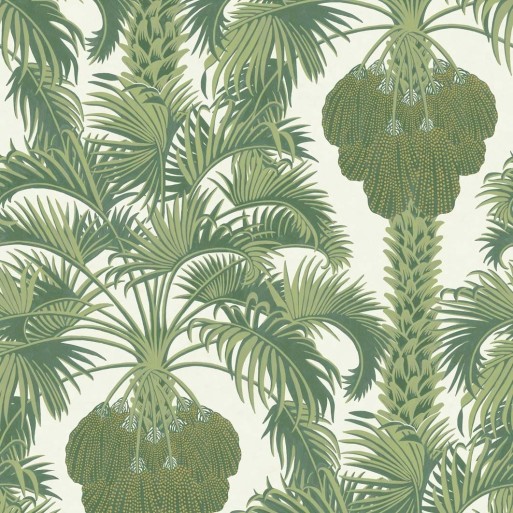 Hollywood Palm 113/1004