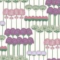 Allium 115 - 12034