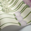 Allium 115 - 12034