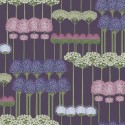 Allium 115 - 12036